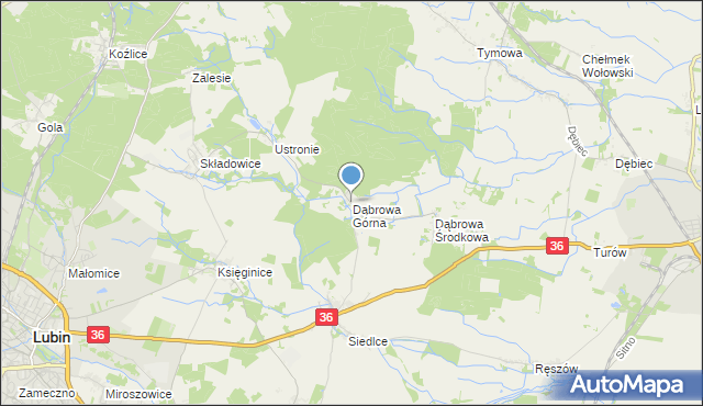 mapa Dąbrowa Górna, Dąbrowa Górna gmina Lubin na mapie Targeo